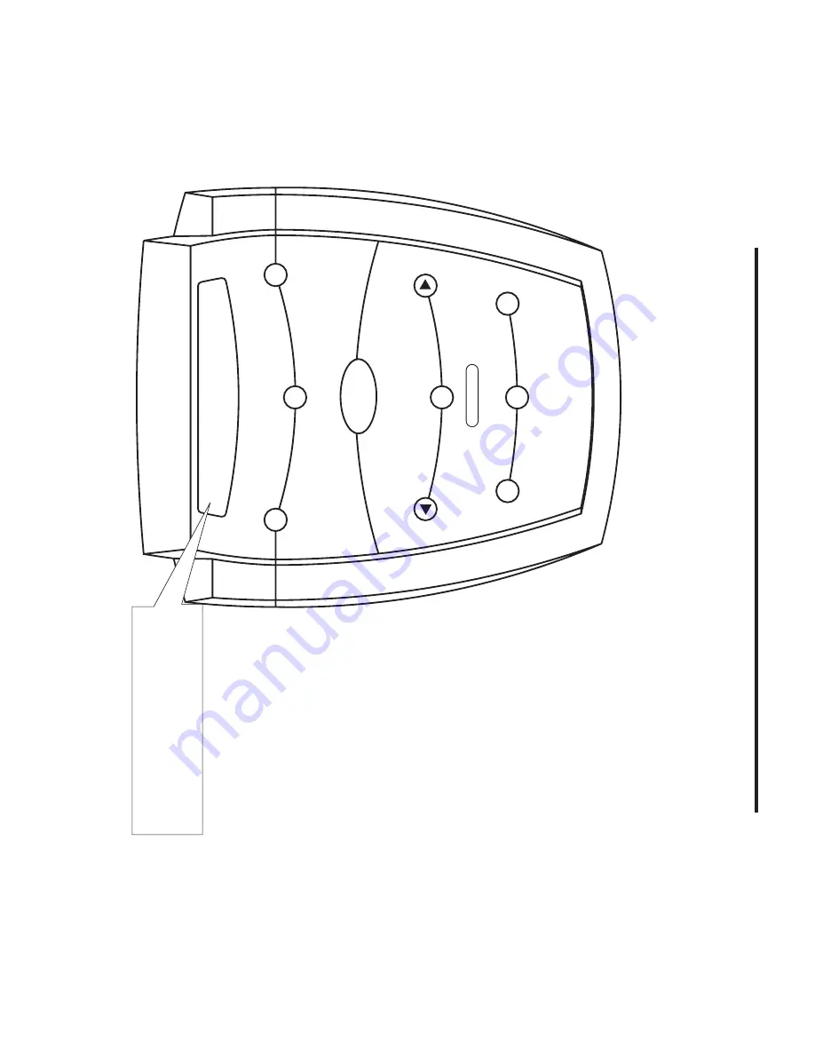 Timex T463 User Manual Download Page 19