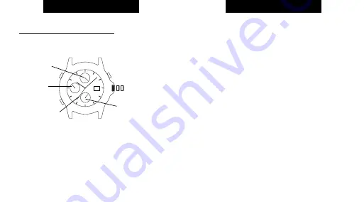 Timex W223-EU2 Manual Download Page 14