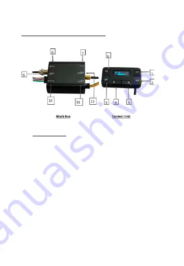 Tiny  Audio C11+ User Manual Download Page 3