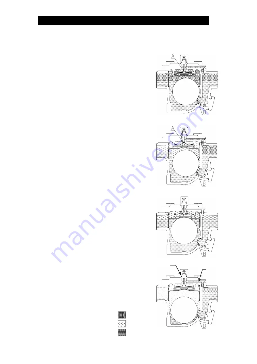 TLV J3B Instruction Manual Download Page 6