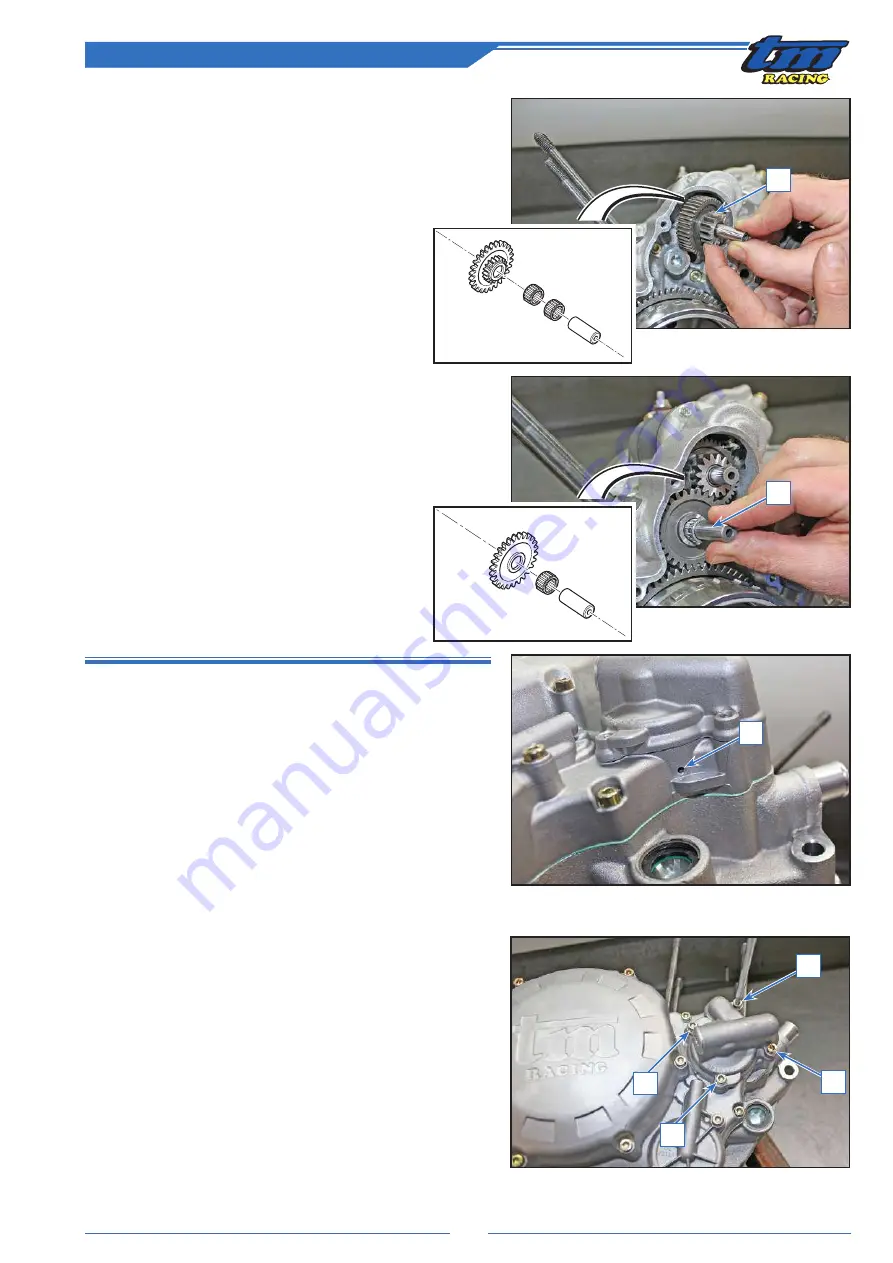 TM RACING 2010 STROKE 250 Workshop Manual Download Page 63