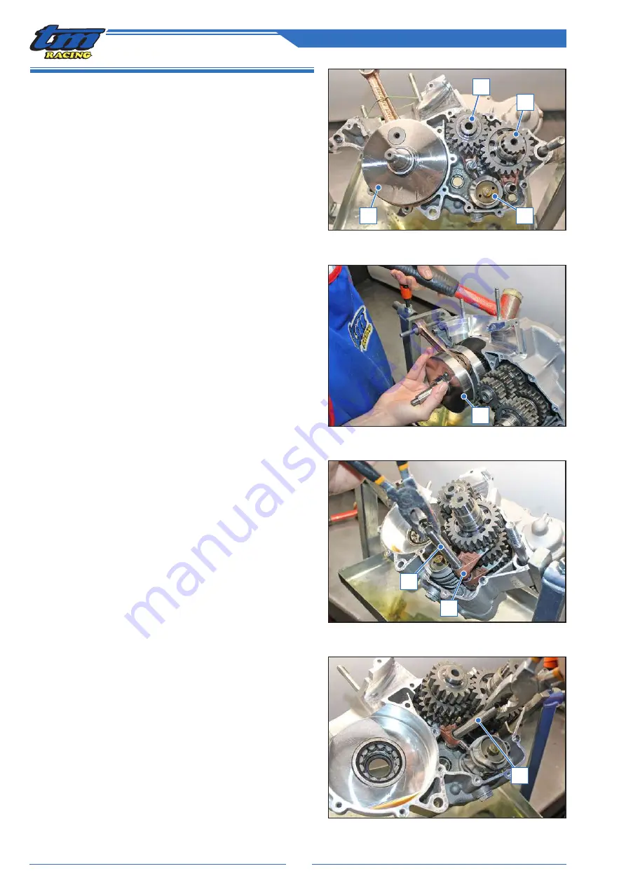 TM RACING 250 EN Workshop Manual Download Page 66