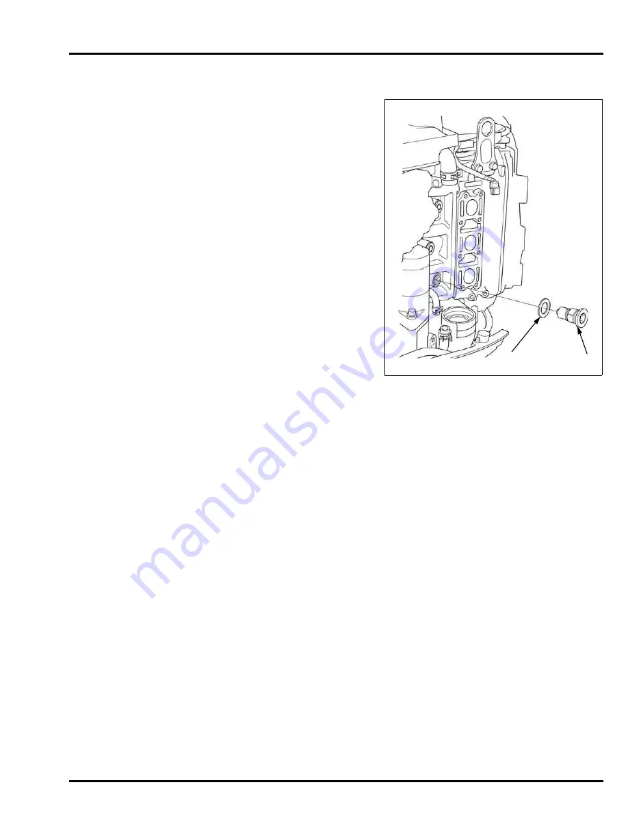 TOHATSU BFT 250A Service Manual Download Page 337