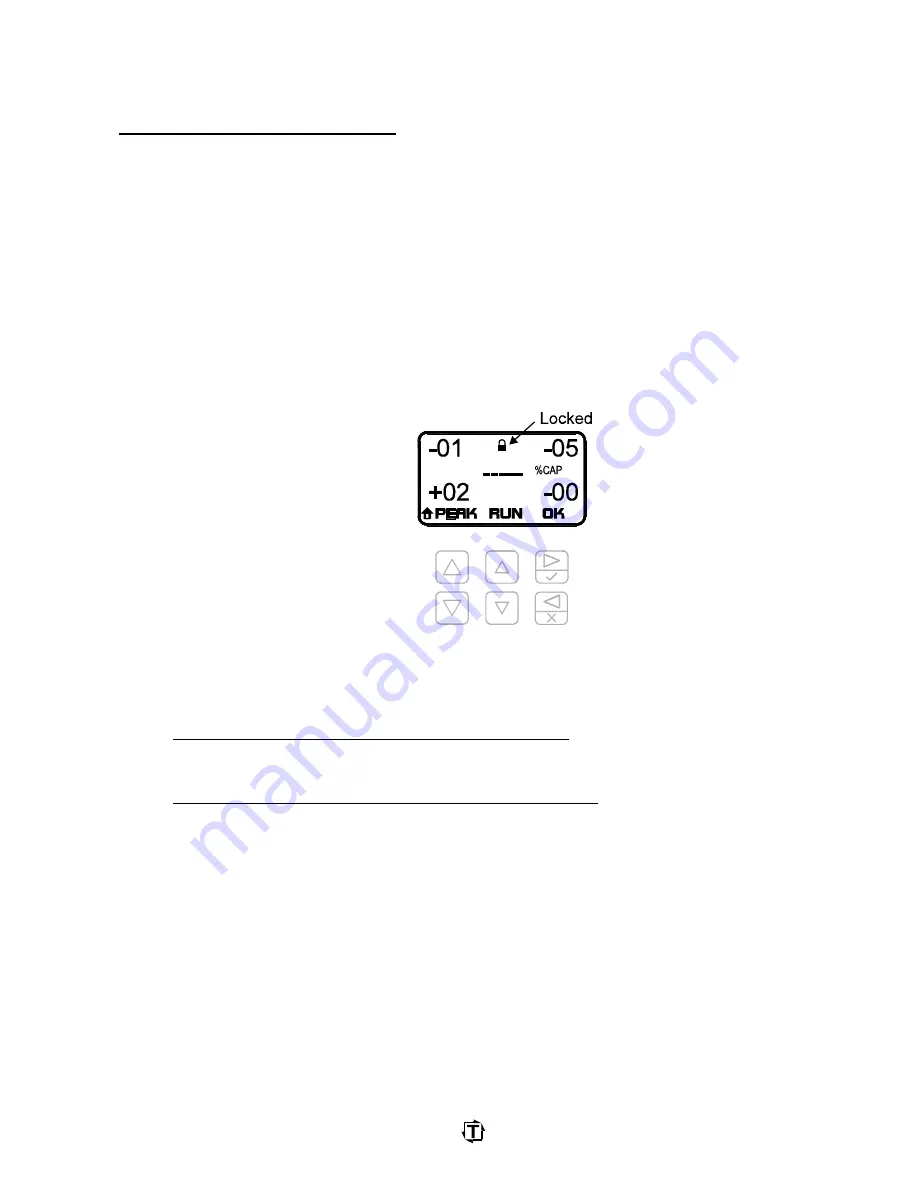 Toledo PWi Forging User Manual Download Page 31