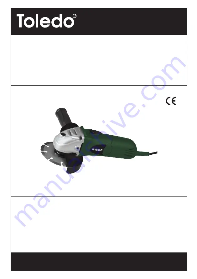 Toledo TEAG-115/500 User Manual Download Page 1