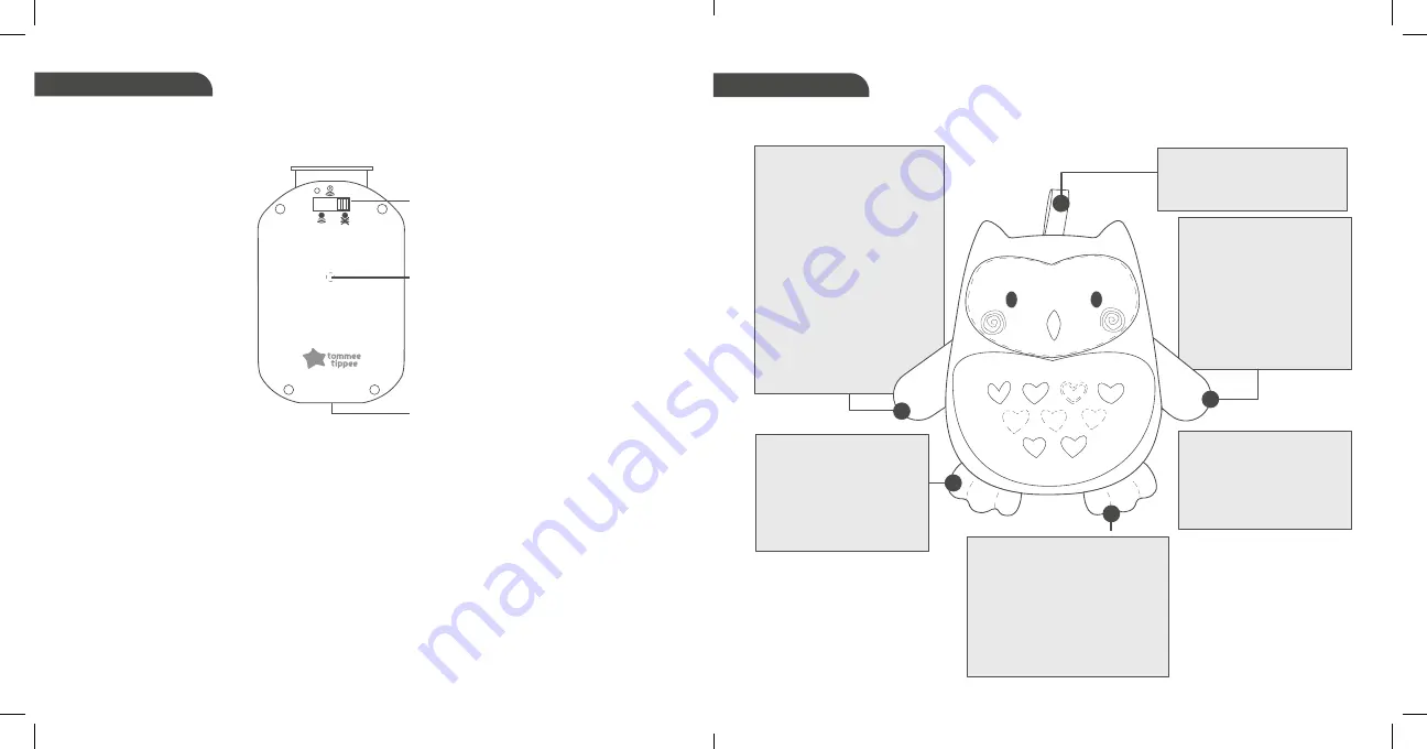 Tommee Tippee Grofriends Bennie the Bear Скачать руководство пользователя страница 4