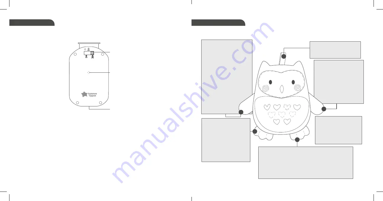 Tommee Tippee Grofriends Bennie the Bear Manual Download Page 8