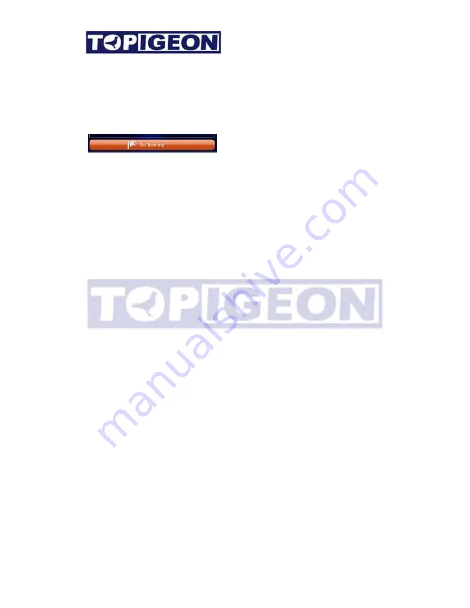 TOPigeon iPigeon V8 User Manual Download Page 17