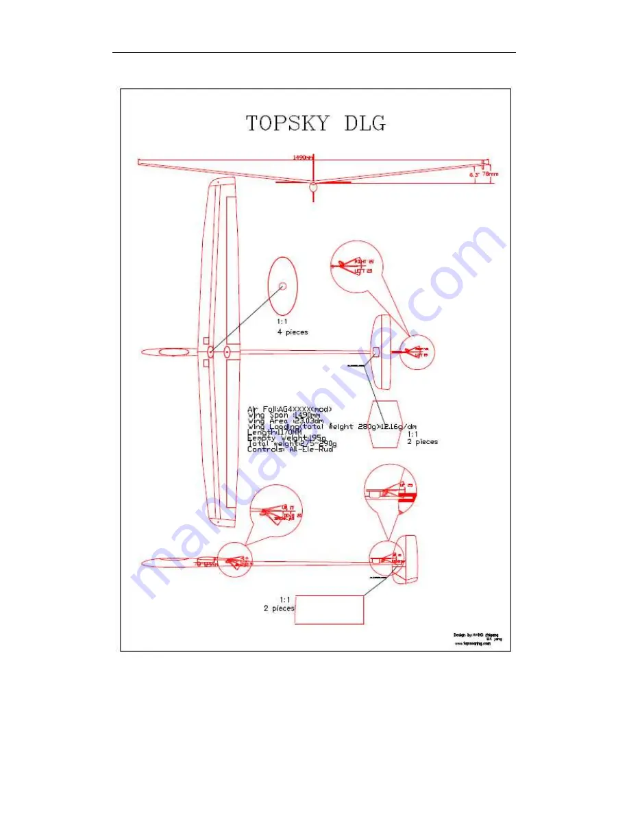 Topsoaring New Technology TOPSKY DLG Скачать руководство пользователя страница 1