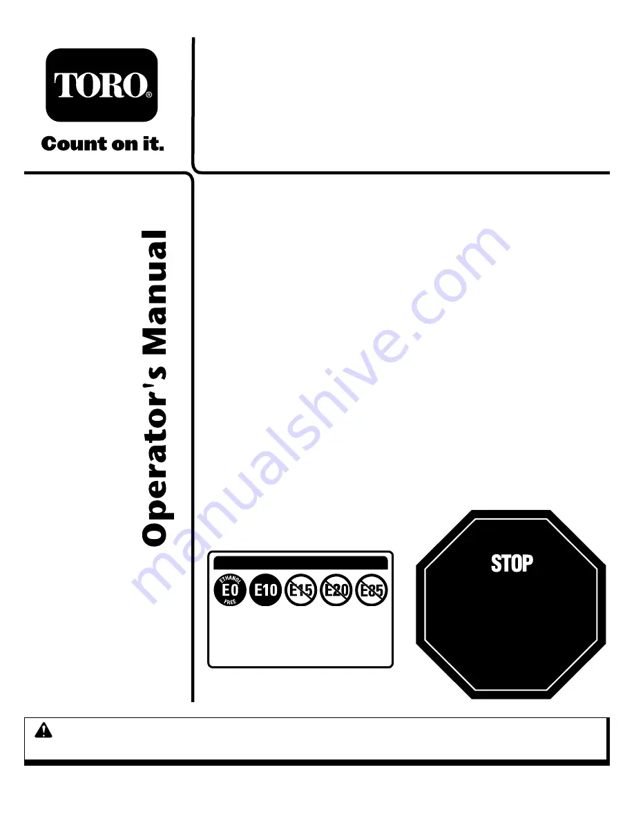 Toro 313000001 Скачать руководство пользователя страница 1