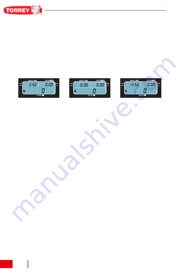 Torrey PC HSP Series Owner'S Manual Download Page 12