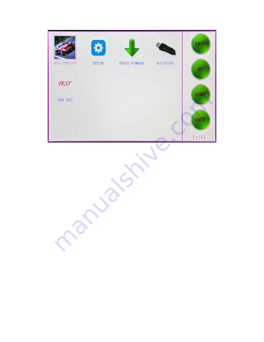 toWell SKP1000 User Manual Download Page 3