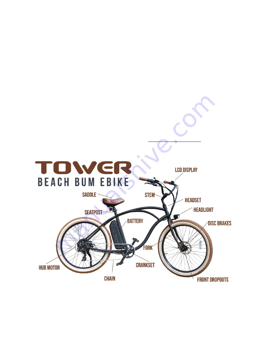 Tower Hobbies BEACH BUM Скачать руководство пользователя страница 4