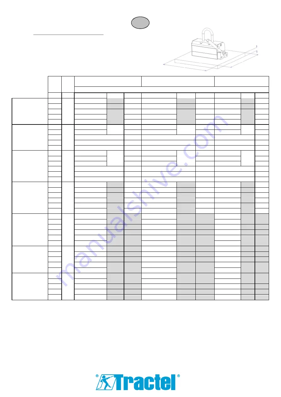 Tractel 185438 Скачать руководство пользователя страница 31