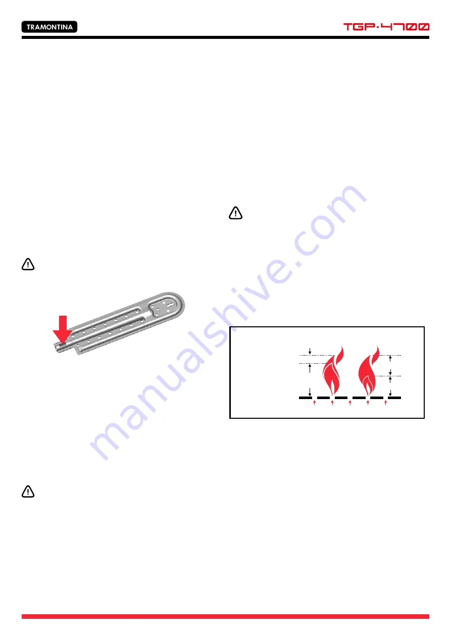 Tramontina TGP-4700/G3543B-SB Скачать руководство пользователя страница 13