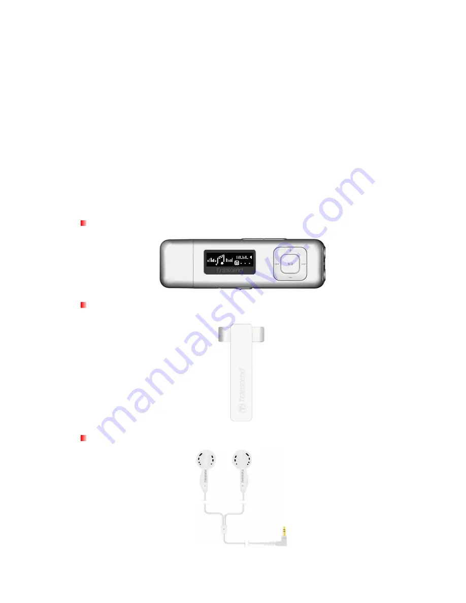 Transcend TS8GMP330K Скачать руководство пользователя страница 5