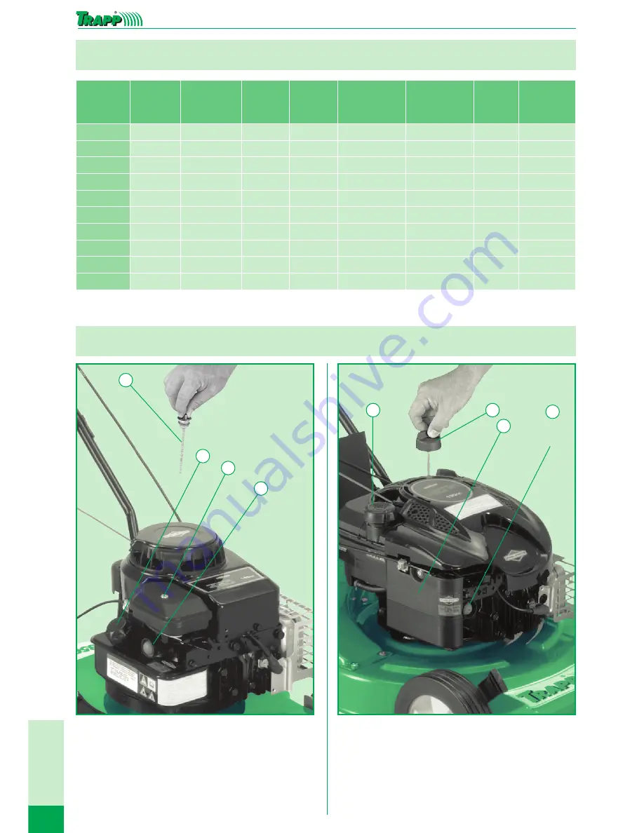 TRAPP CG-40G Скачать руководство пользователя страница 8