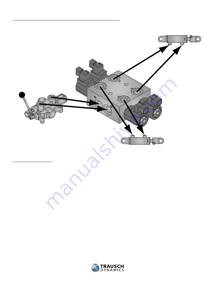 TRAUSCH DYNAMICS PoppetPLUS 2 Installation Manual Download Page 3