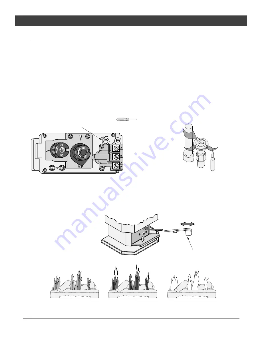 Travis Industries Allegiance Owner'S Manual Download Page 19