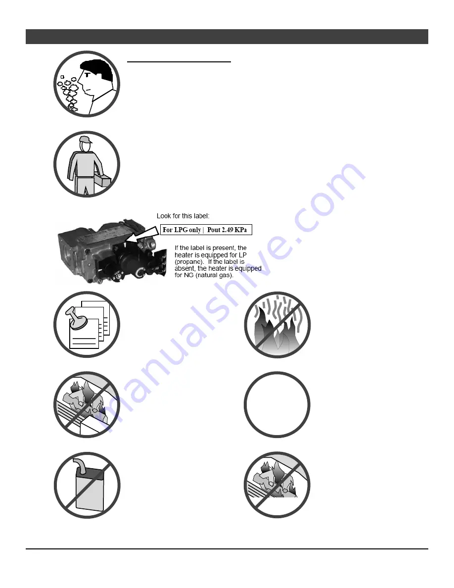 Travis Industries DVL EF II Owner'S Manual Download Page 4