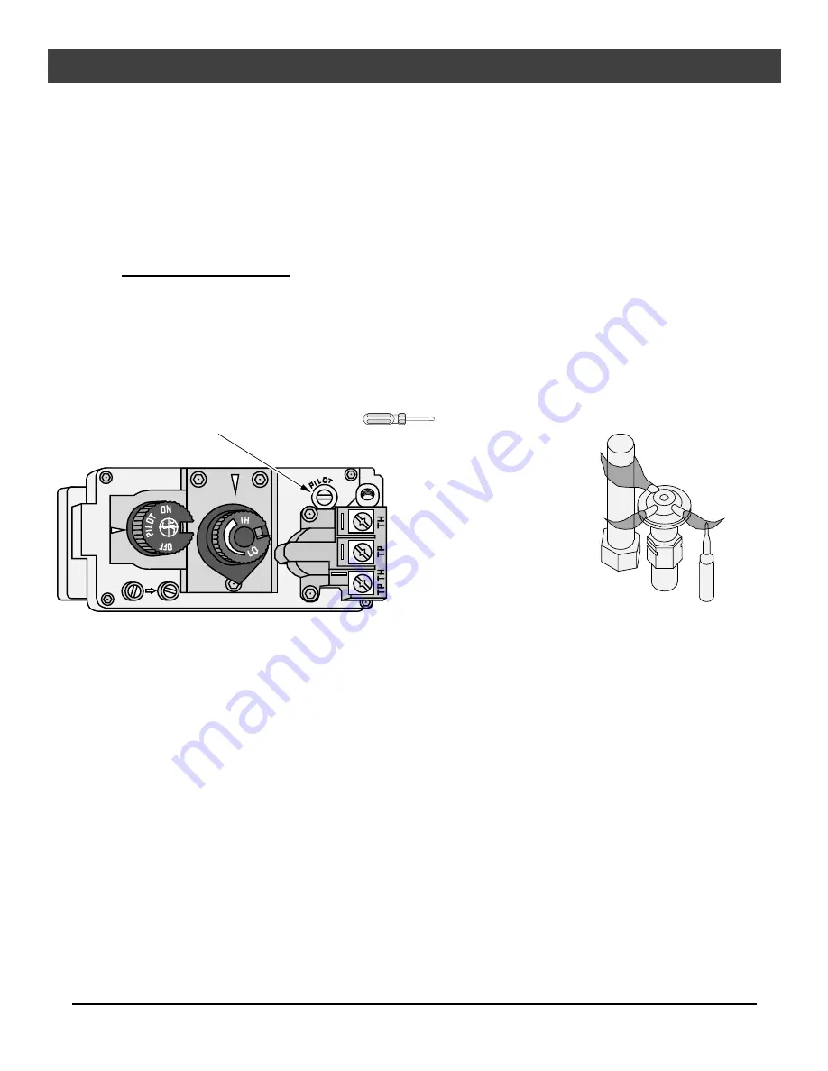 Travis Industries DVS EF Insert Owner'S Manual Download Page 19