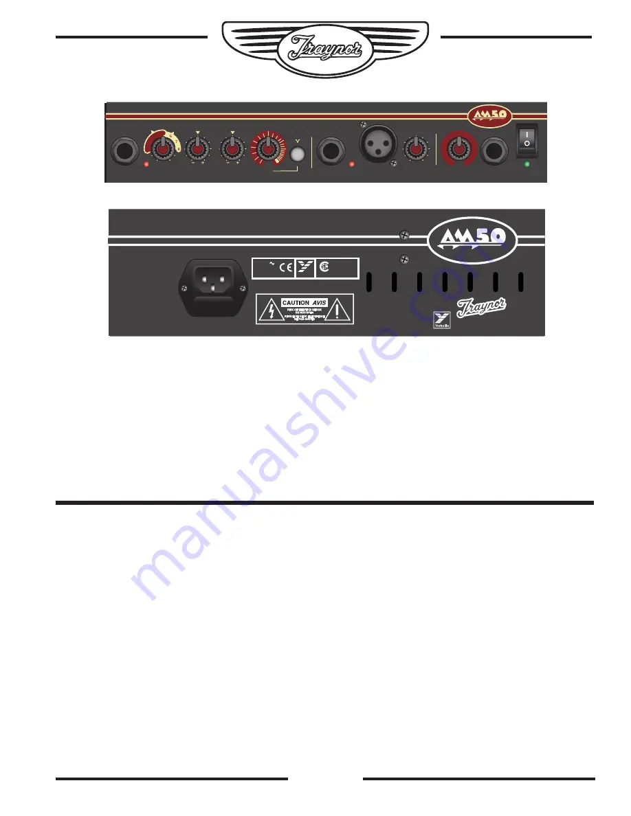 Traynor Acoustic Master AM50T Owner'S Manual Download Page 5