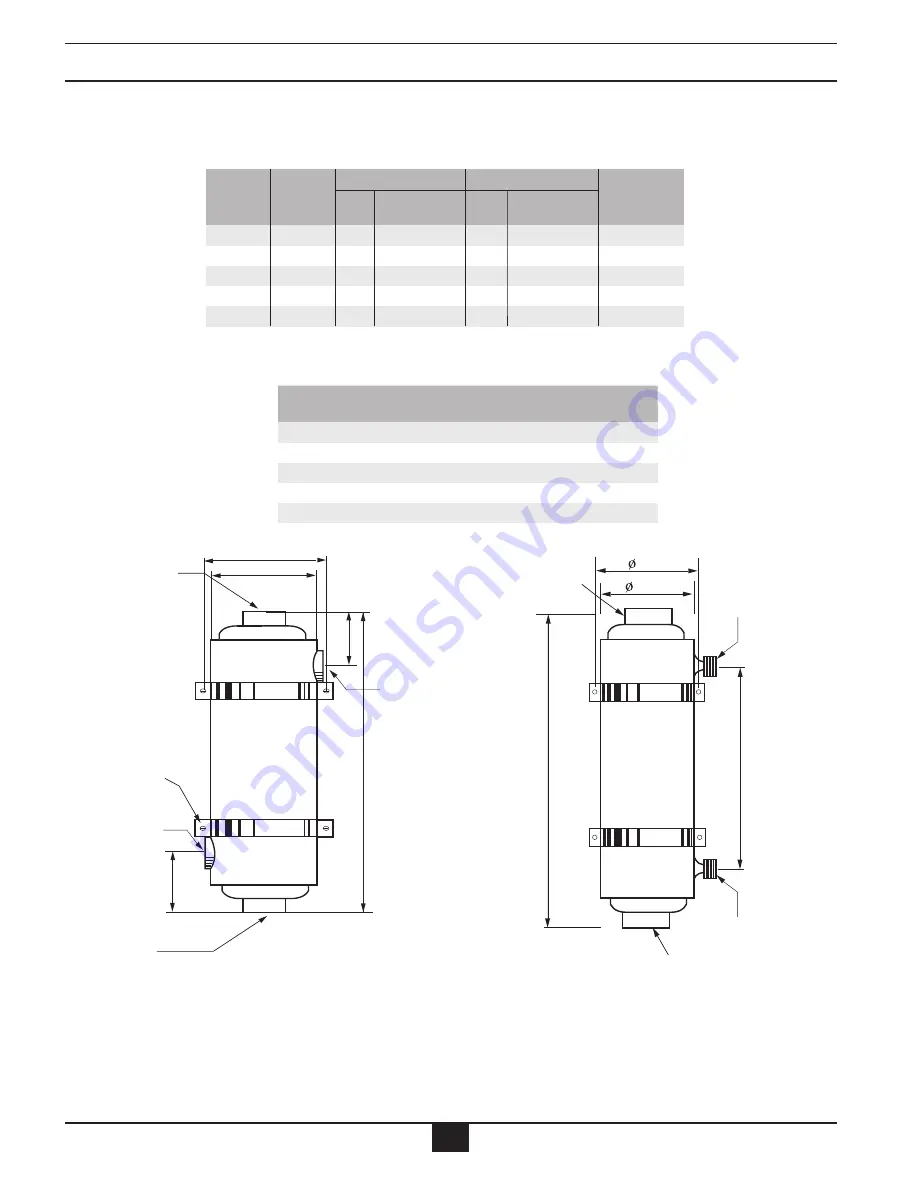 TriangleTube MAXI-FLO MF-135 Installation And Maintenance Manual Download Page 10