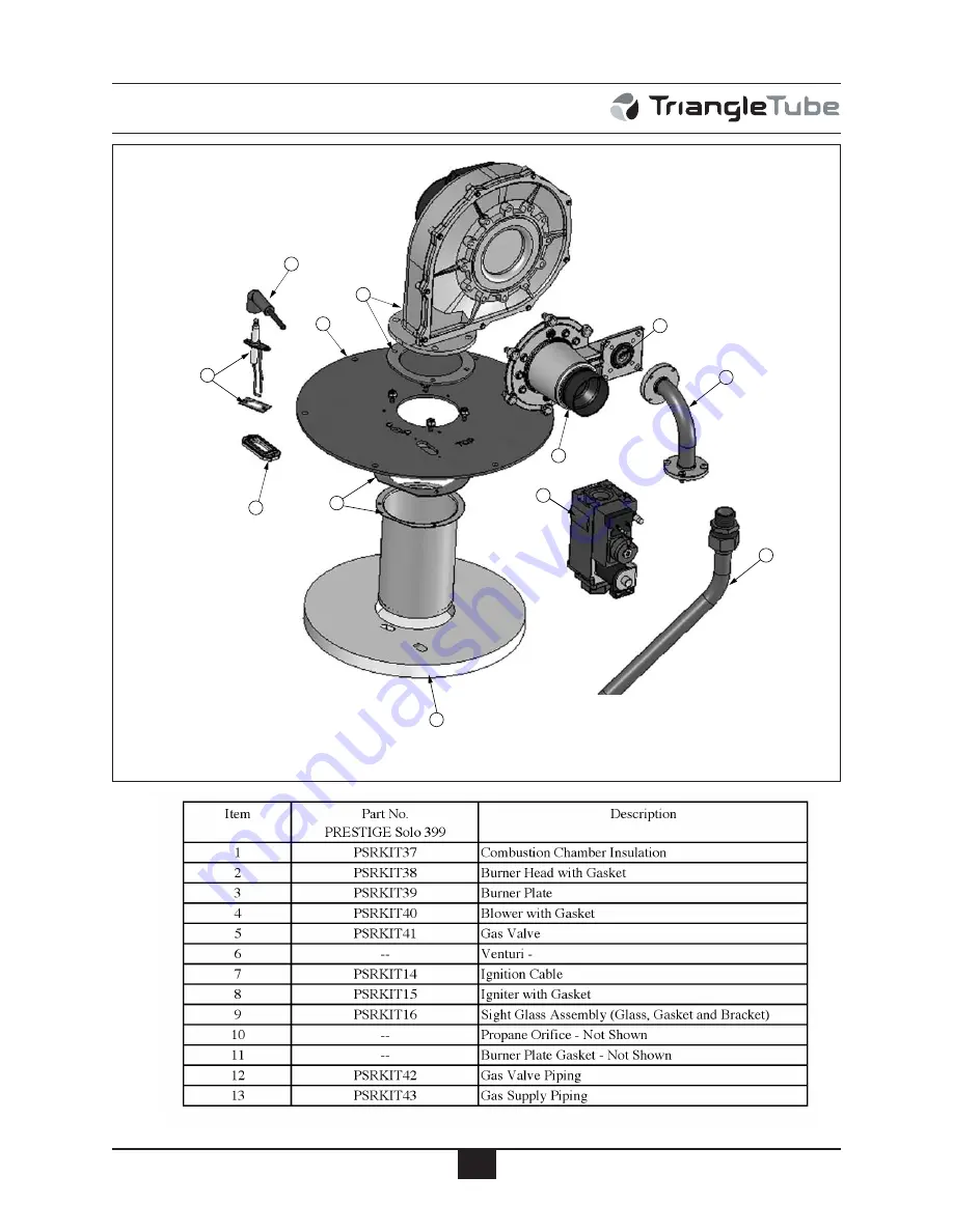 TriangleTube Prestige Slol 250 Installation And Maintenance Manual Download Page 77