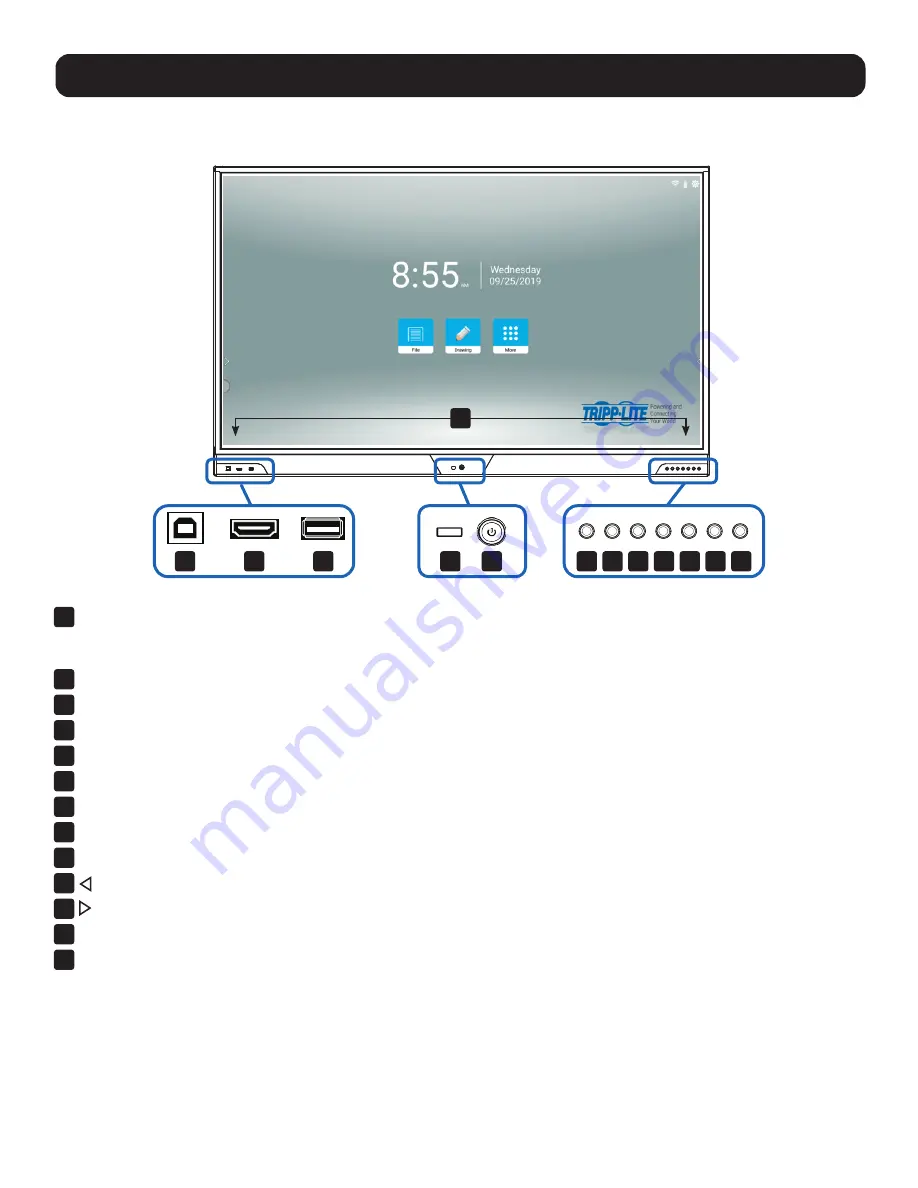 Tripp Lite DMTP55NO Скачать руководство пользователя страница 2