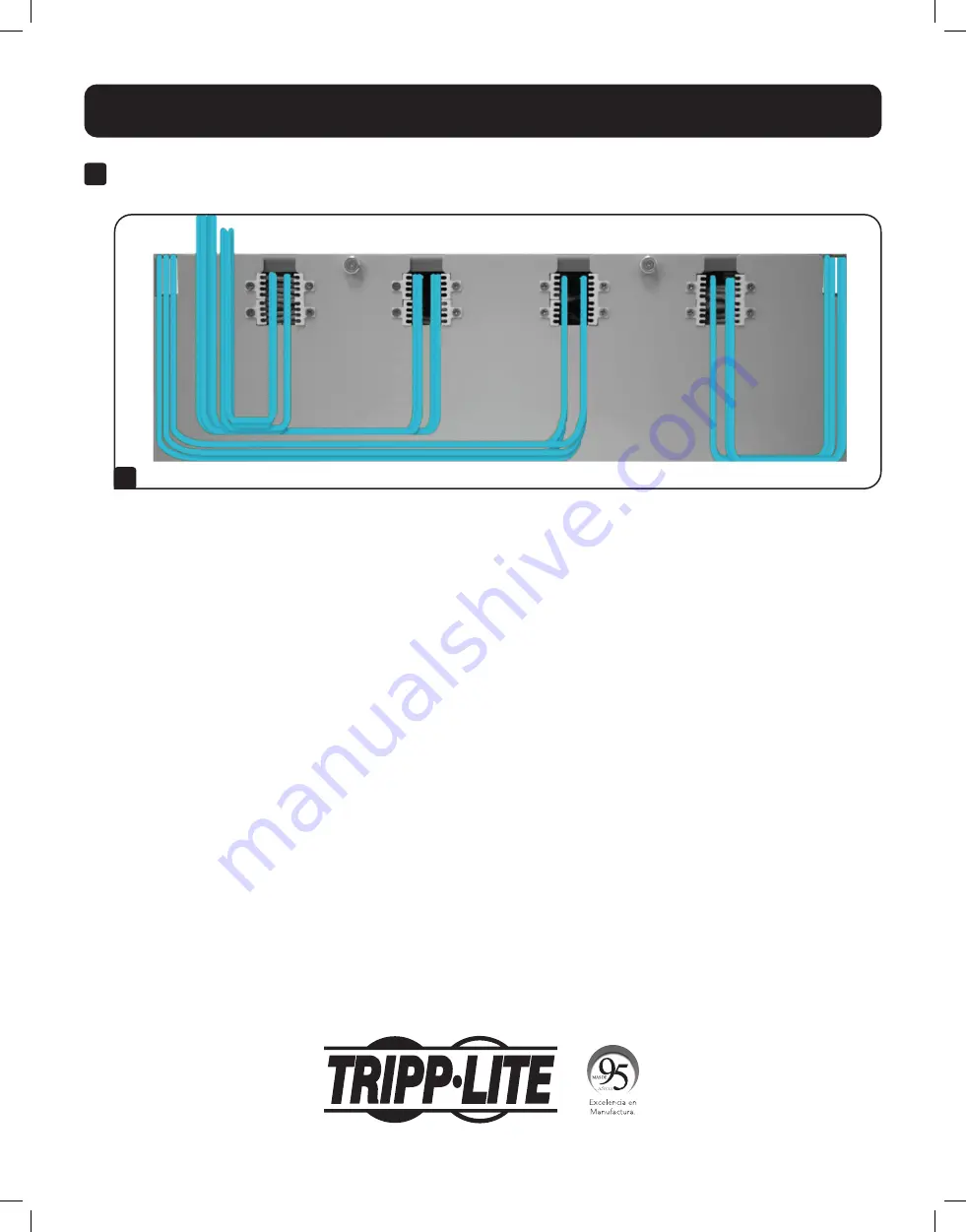 Tripp Lite N48M Series Скачать руководство пользователя страница 8