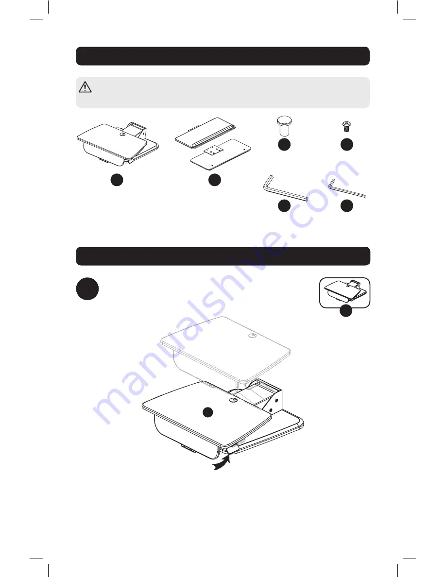 Tripp Lite WWSSDT Скачать руководство пользователя страница 2