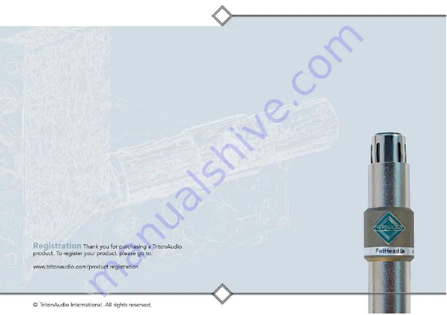 Tritonaudio Fethead Germanium User Manual Download Page 1