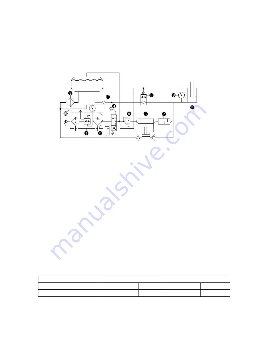 TRITORC BPL 100 Operating And Maintenance Manual Download Page 2