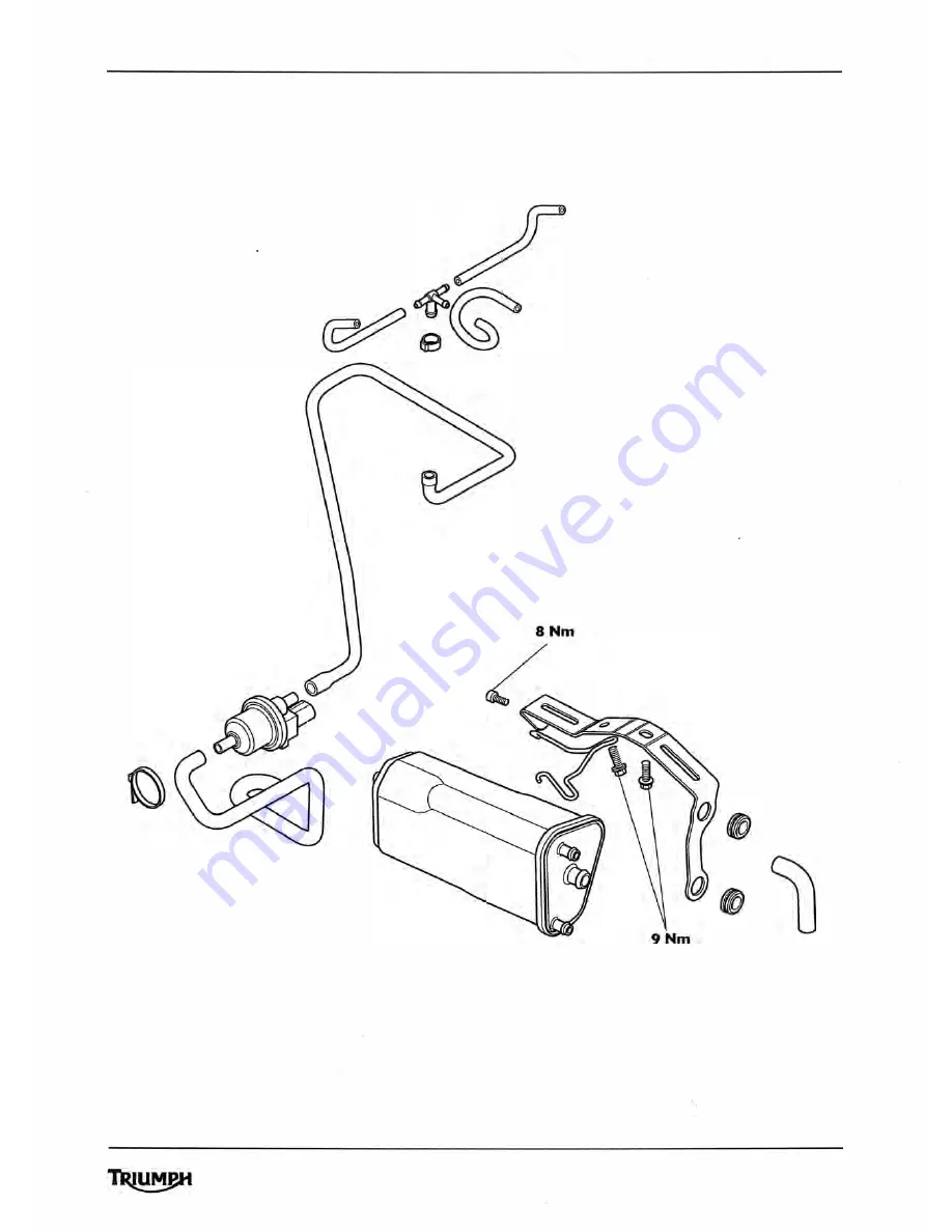 Triumph 2010 Tiger 800 Service Manual Download Page 189