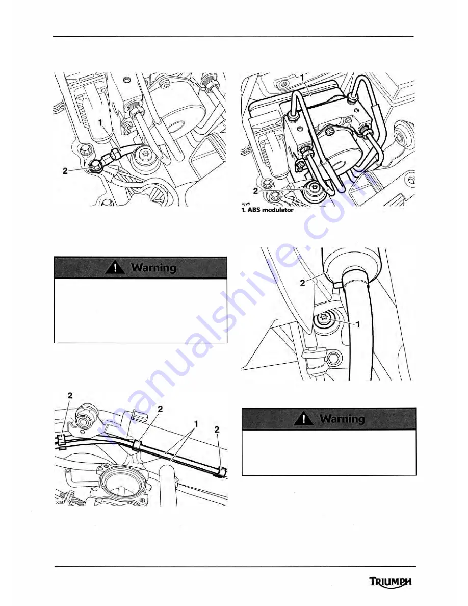 Triumph 2010 Tiger 800 Скачать руководство пользователя страница 394