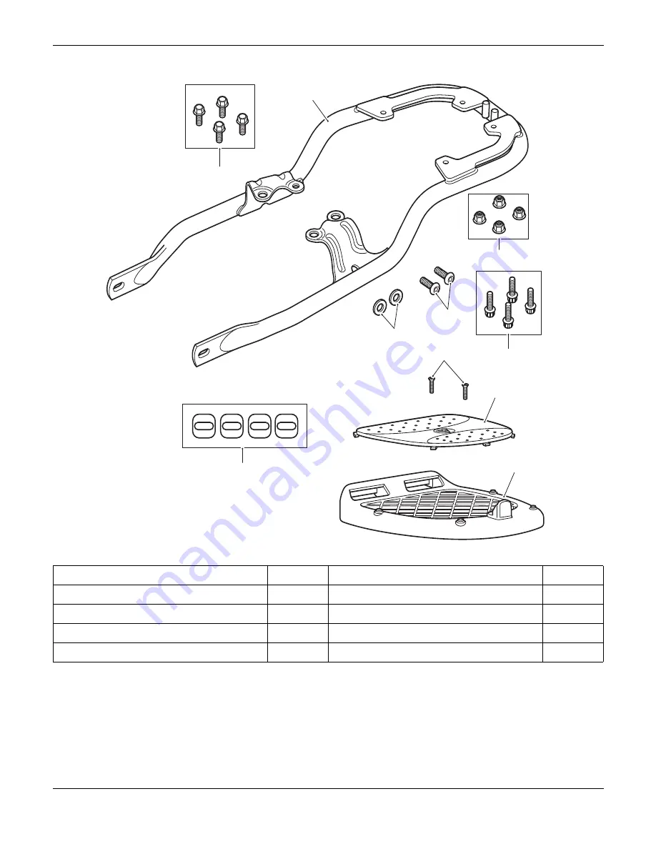 Triumph A9758306 Скачать руководство пользователя страница 2