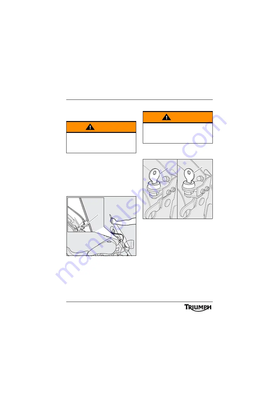 Triumph Thunderbird SE Manual Download Page 8