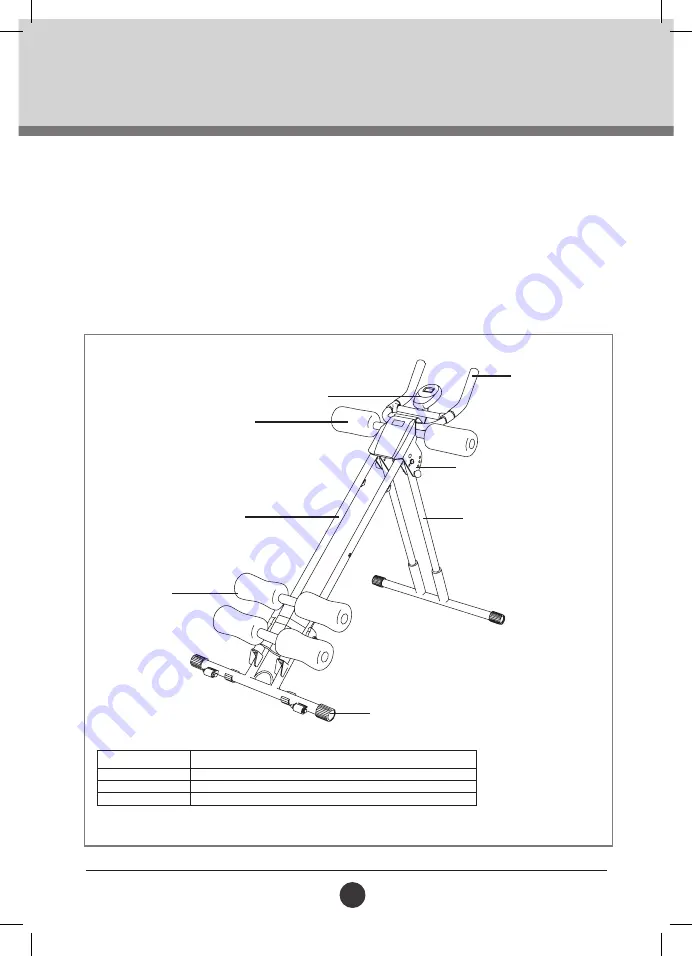 Trojan 5 MINUTE SHAPER PLANK User Manual Download Page 5