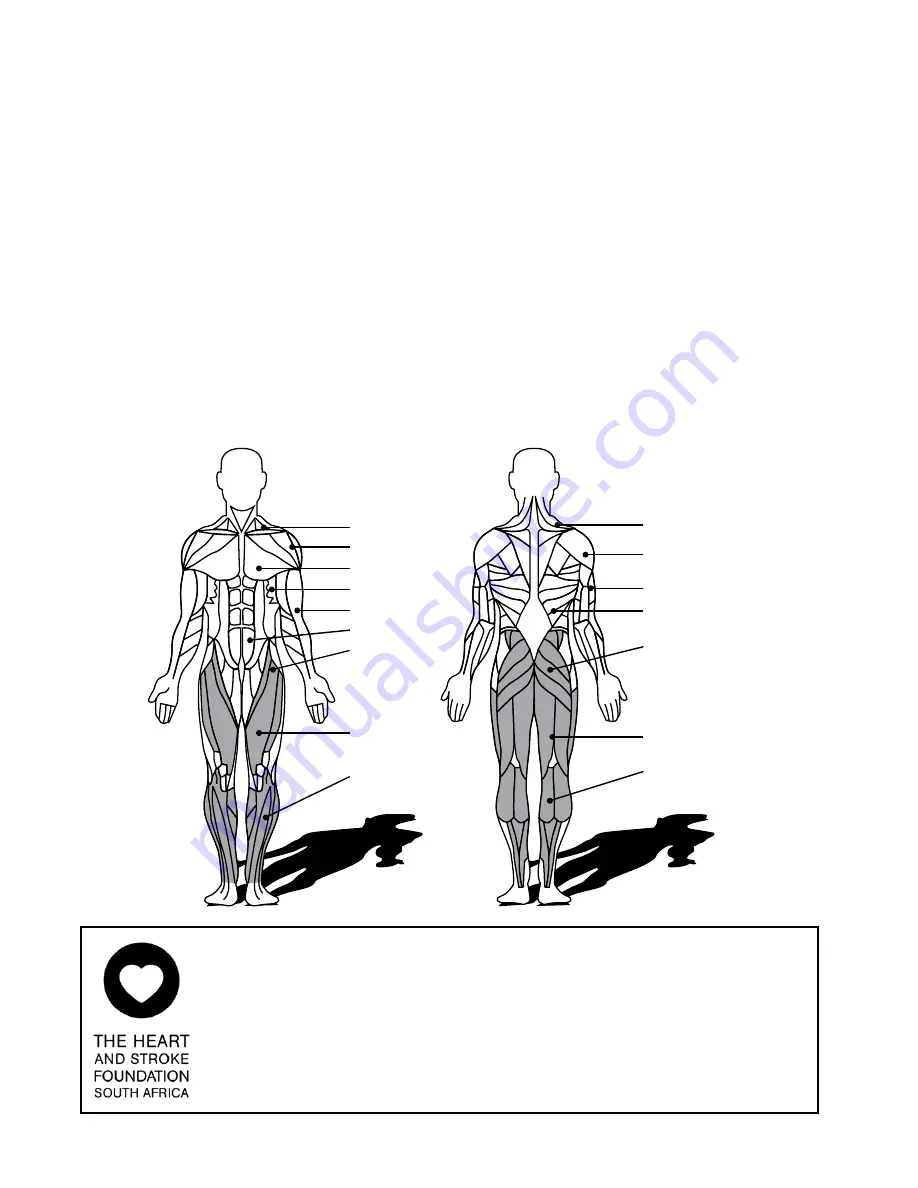 Trojan PURSUIT 330 Instruction And Assembly Manual Download Page 12