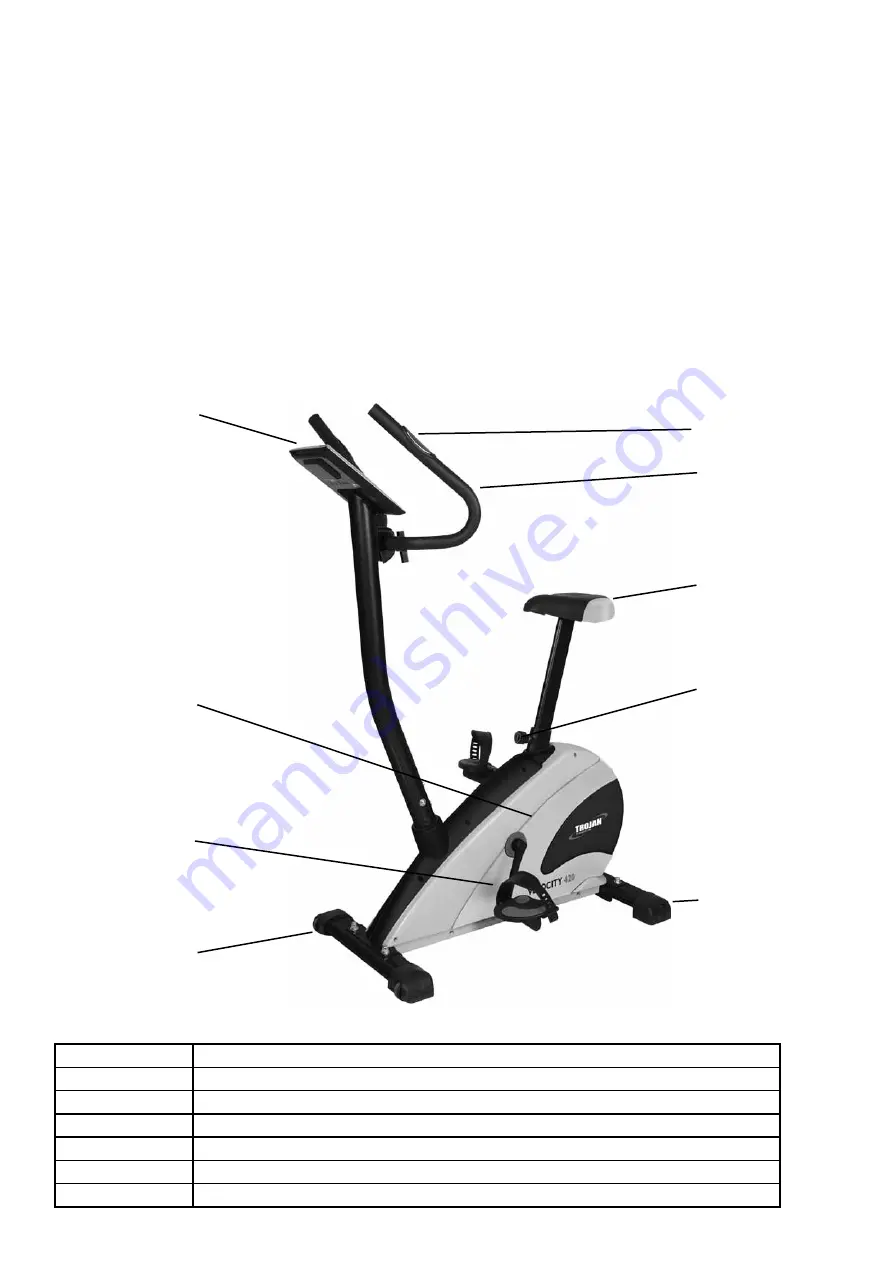 Trojan VELOCITY 420 Instruction And Assembly Manual Download Page 5