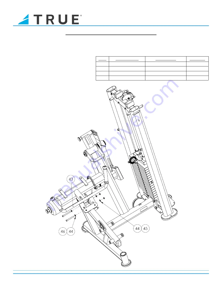 True Fuse XL-0100 Скачать руководство пользователя страница 19