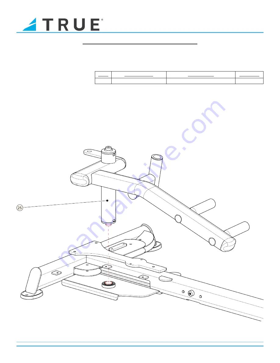 True Fuse XL-0400 Скачать руководство пользователя страница 20