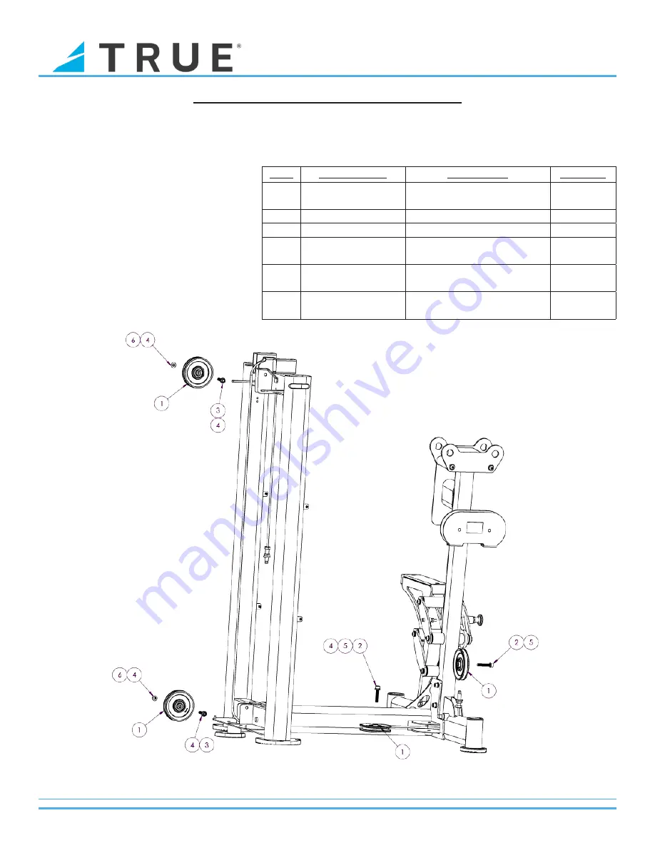 True Fuse XL-0800 Скачать руководство пользователя страница 17