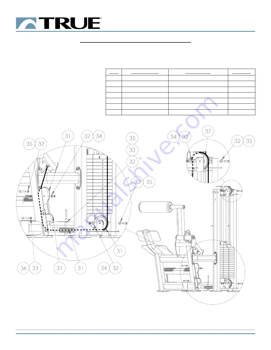 True Fuse XL-1300 Owner'S Manual Download Page 19