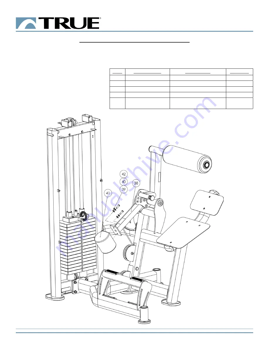 True Fuse XL-1300 Owner'S Manual Download Page 20