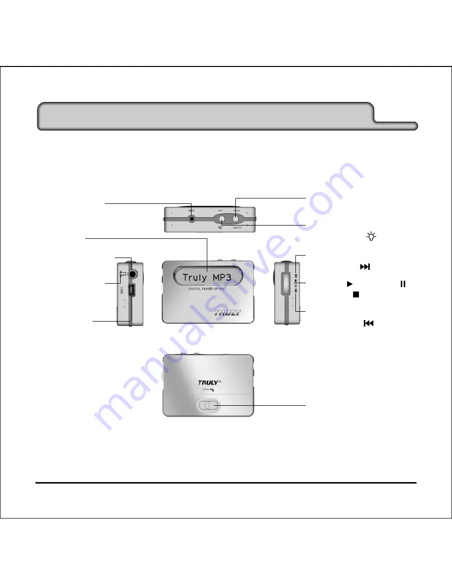 Truly MP368 Скачать руководство пользователя страница 8