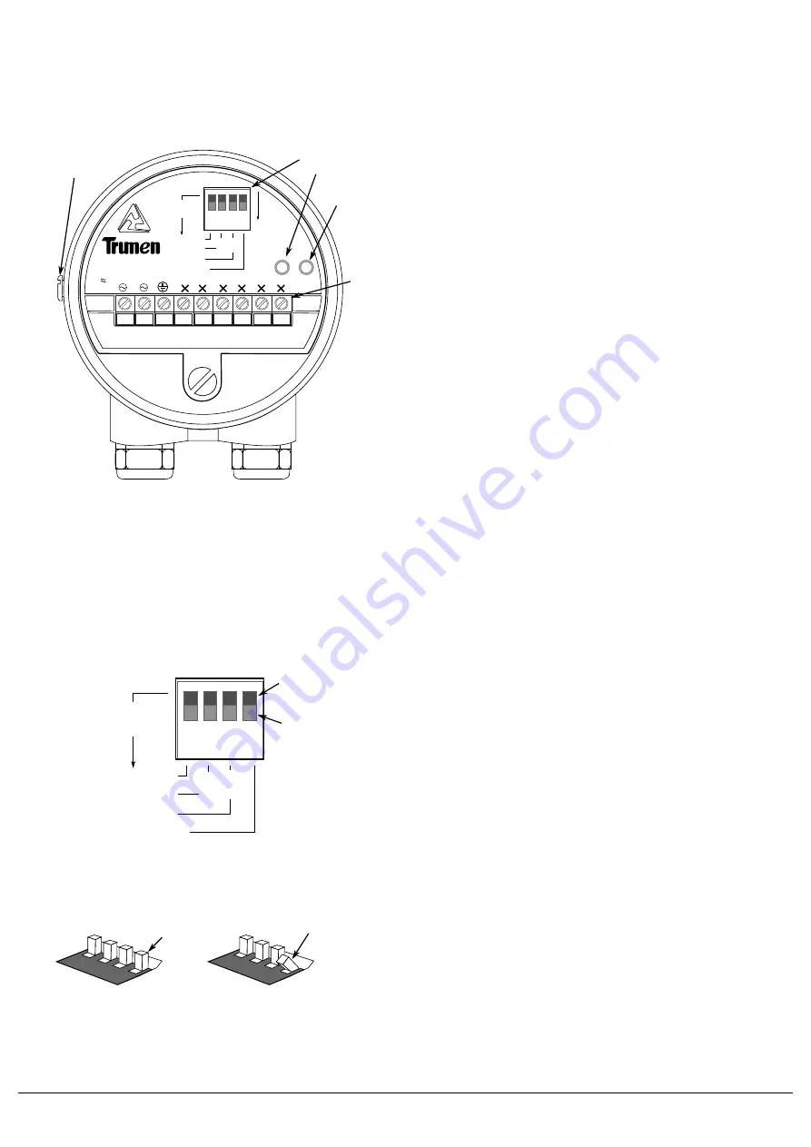 Trumen LSVR Series Instruction Manual Download Page 16