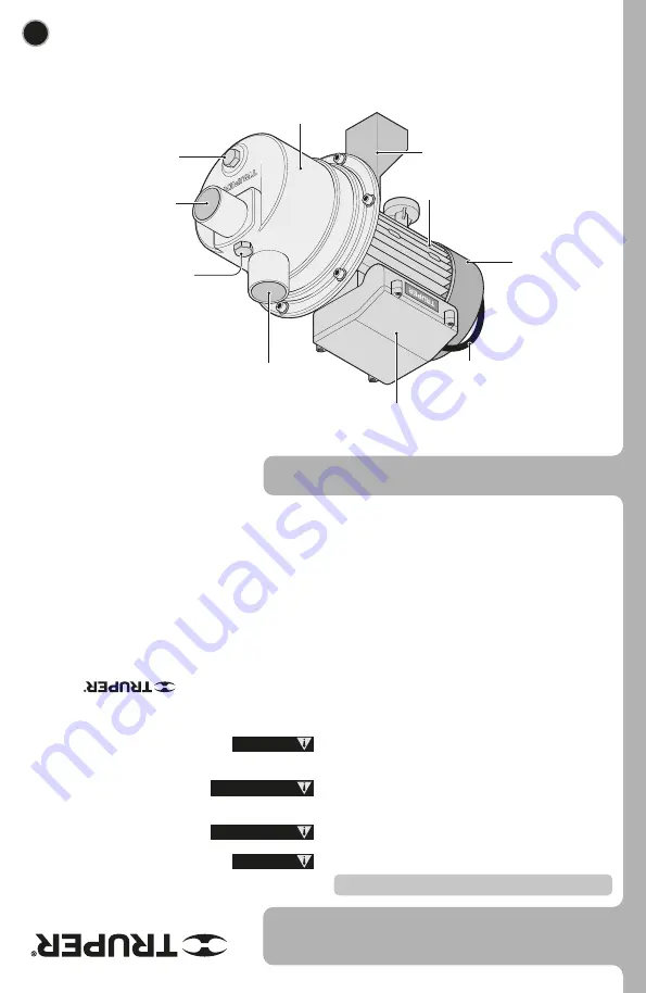 Truper 101102 Manual Download Page 20