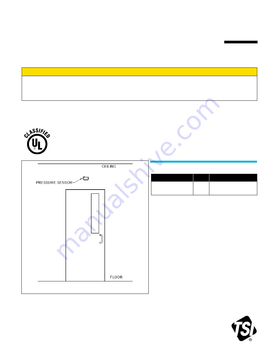 TSI Instruments 800243 Скачать руководство пользователя страница 1