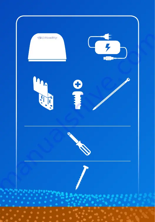 TSI Instruments BLUESKY Quick Start Manual Download Page 2